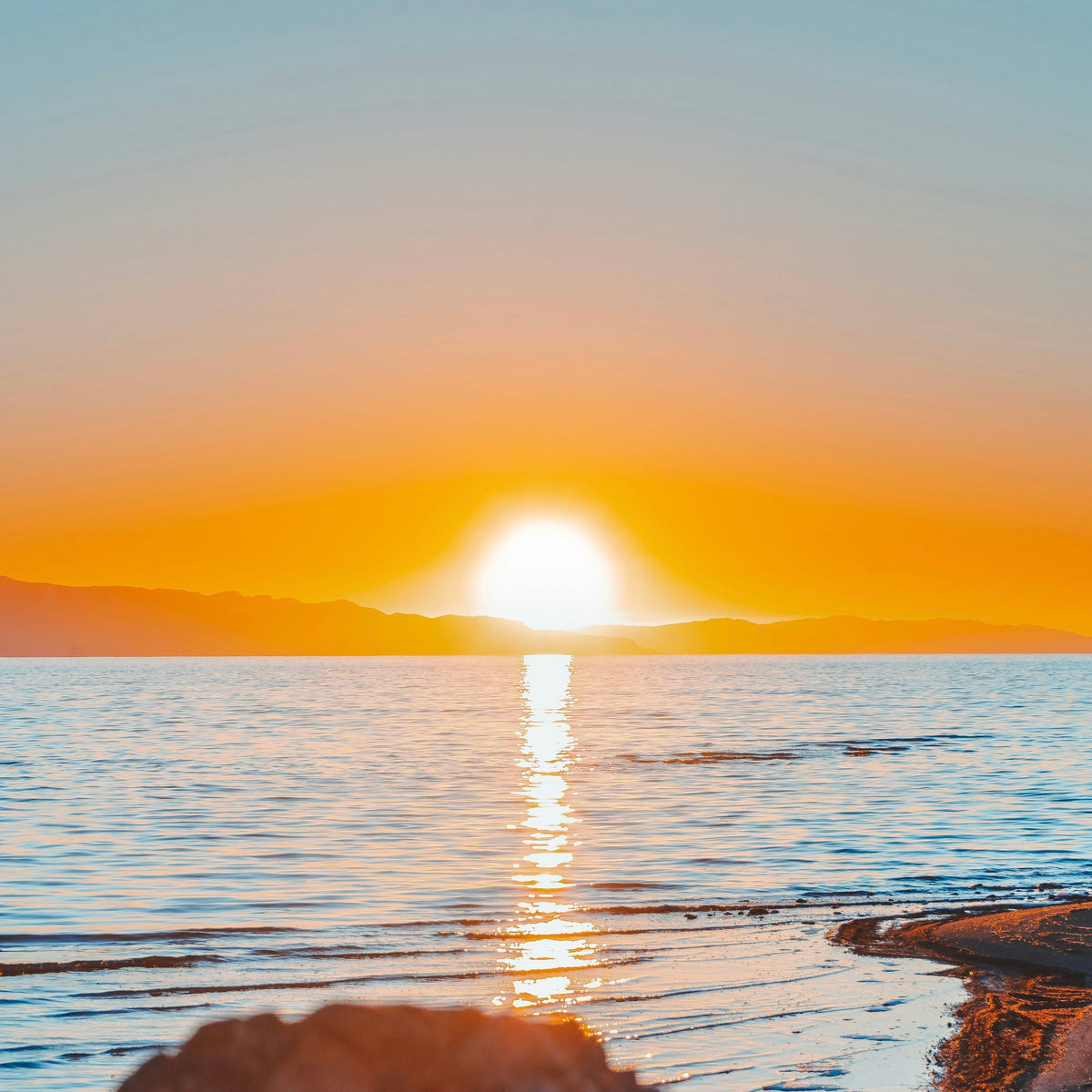 Sun Seekers